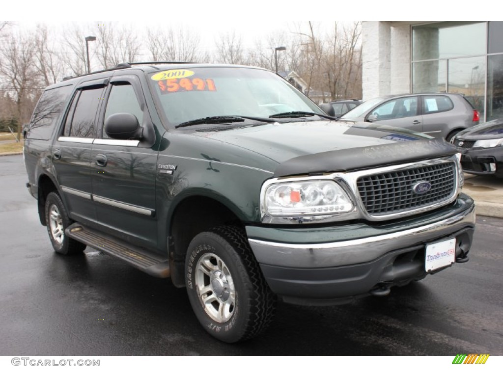 2001 Expedition XLT 4x4 - Dark Highland Green Metallic / Medium Graphite photo #16