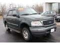 2001 Dark Highland Green Metallic Ford Expedition XLT 4x4  photo #16
