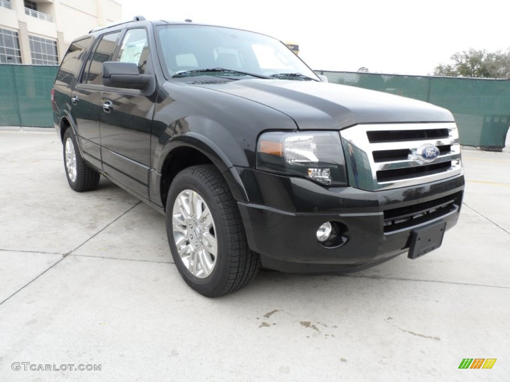 Tuxedo Black Metallic Ford Expedition