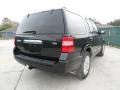 2012 Tuxedo Black Metallic Ford Expedition Limited  photo #3