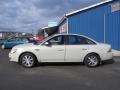 2008 Light Sage Metallic Ford Taurus SEL  photo #2