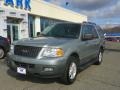 Pewter Metallic 2006 Ford Expedition XLT 4x4
