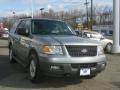 Pewter Metallic - Expedition XLT 4x4 Photo No. 2