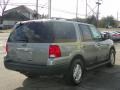 Pewter Metallic - Expedition XLT 4x4 Photo No. 3