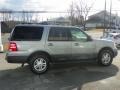 Pewter Metallic - Expedition XLT 4x4 Photo No. 25