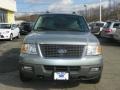 Pewter Metallic - Expedition XLT 4x4 Photo No. 26