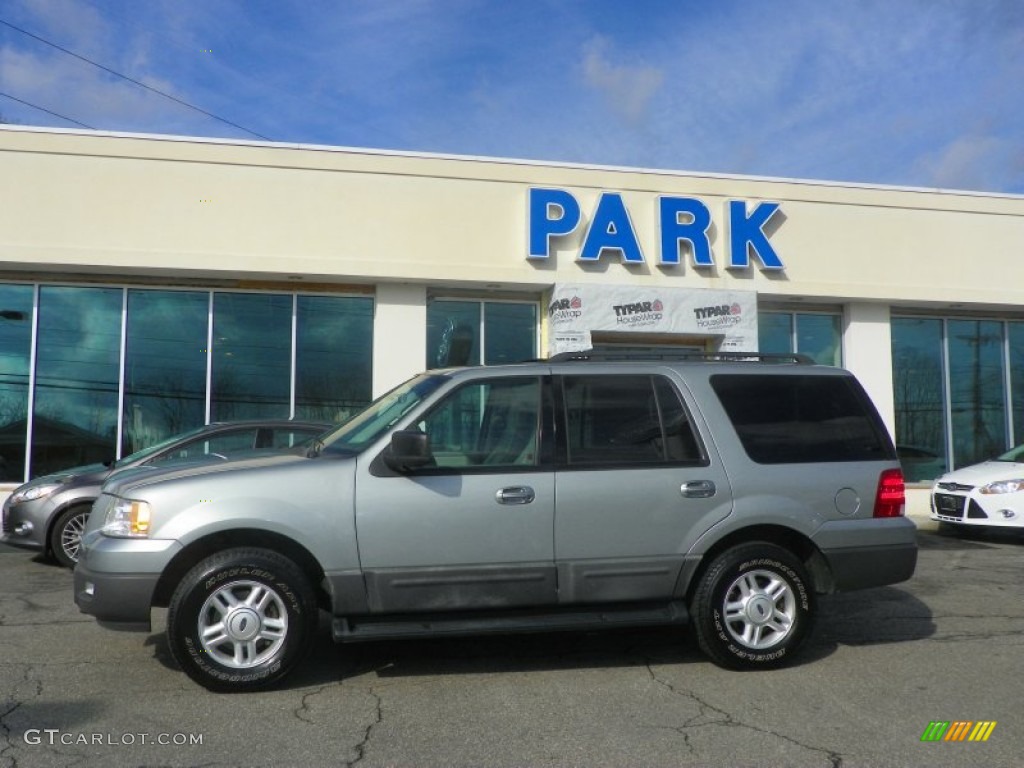 2006 Expedition XLT 4x4 - Pewter Metallic / Medium Flint Grey photo #28