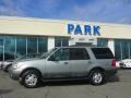 Pewter Metallic - Expedition XLT 4x4 Photo No. 28