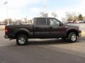 2006 Dark Stone Metallic Ford F150 XLT SuperCrew 4x4  photo #5