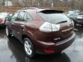 2008 Brandywine Mica Lexus RX 400h AWD Hybrid  photo #3