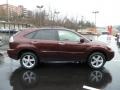 2008 Brandywine Mica Lexus RX 400h AWD Hybrid  photo #6