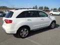 Aspen White Pearl - MDX Technology Photo No. 5