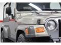 Light Khaki Metallic - Wrangler Unlimited Rubicon 4x4 Photo No. 10