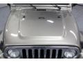 Light Khaki Metallic - Wrangler Unlimited Rubicon 4x4 Photo No. 13