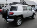 Titanium Metallic - FJ Cruiser 4WD Photo No. 7