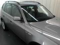 Silver Gray Metallic - X3 3.0i Photo No. 20