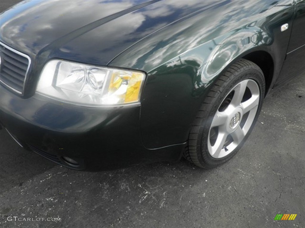 2003 A6 3.0 quattro Sedan - Irish Green Pearl Effect / Platinum photo #4