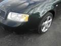 Irish Green Pearl Effect - A6 3.0 quattro Sedan Photo No. 4