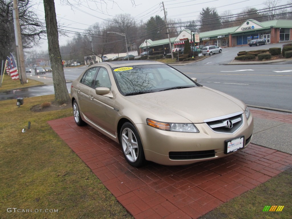 2005 TL 3.2 - Desert Mist Metallic / Camel photo #3