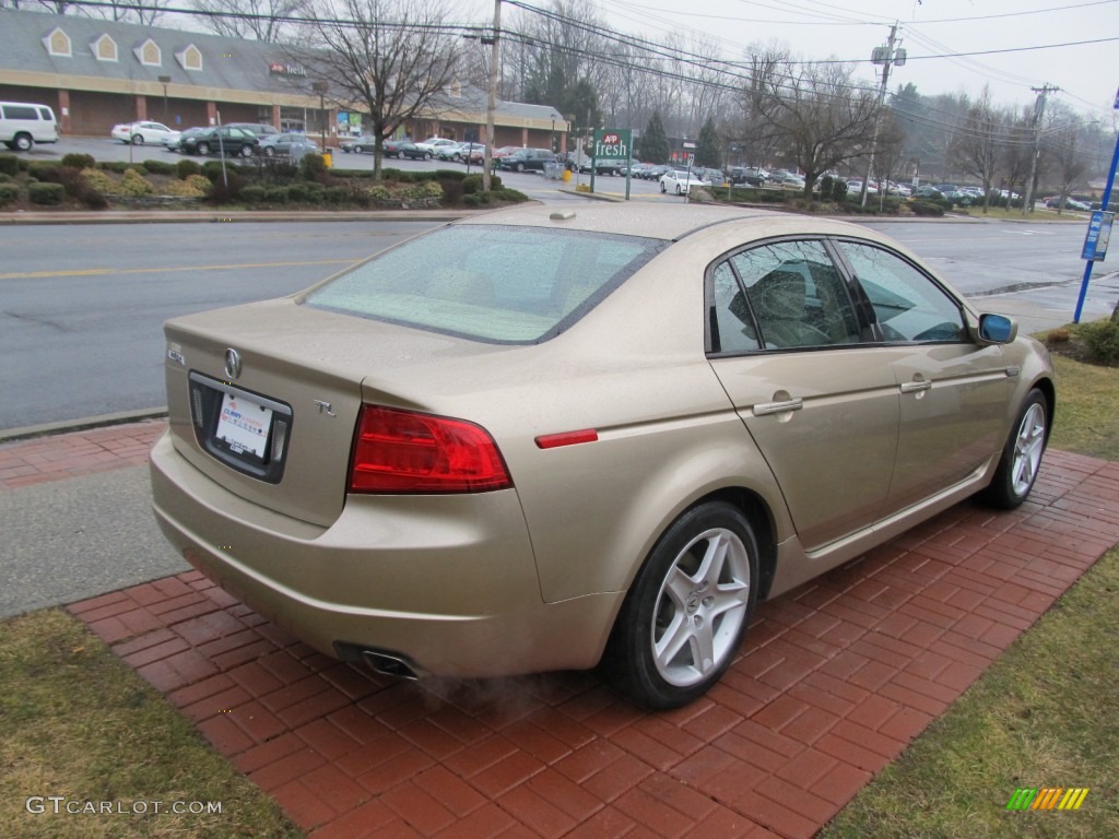 2005 TL 3.2 - Desert Mist Metallic / Camel photo #5