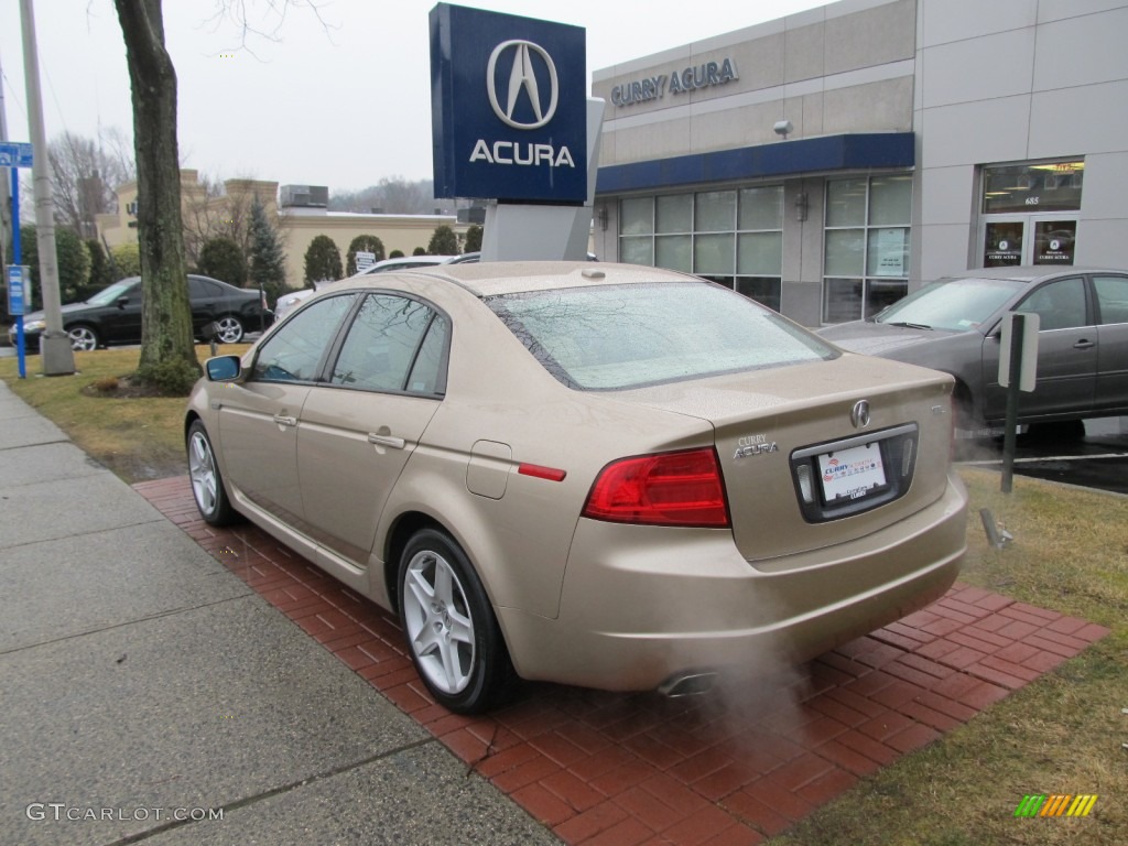 2005 TL 3.2 - Desert Mist Metallic / Camel photo #7