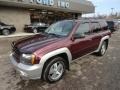 2006 Bordeaux Red Metallic Chevrolet TrailBlazer LT 4x4  photo #8