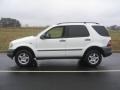 Polar White - ML 320 4Matic Photo No. 2