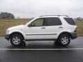 1998 Polar White Mercedes-Benz ML 320 4Matic  photo #2