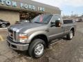 2009 Sterling Grey Metallic Ford F250 Super Duty XLT Regular Cab 4x4  photo #9