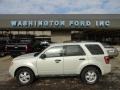 2009 Light Sage Metallic Ford Escape XLT V6 4WD  photo #1