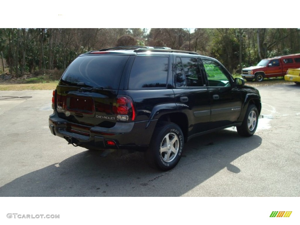 2004 TrailBlazer LS - Black / Medium Pewter photo #3