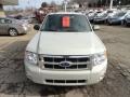 2009 Light Sage Metallic Ford Escape XLT V6 4WD  photo #7