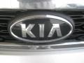 2012 Bright Silver Kia Sedona LX  photo #23