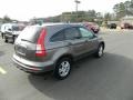 2010 Urban Titanium Metallic Honda CR-V EX-L  photo #5