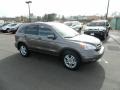 2010 Urban Titanium Metallic Honda CR-V EX-L  photo #7