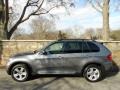 Space Grey Metallic - X5 xDrive30i Photo No. 5