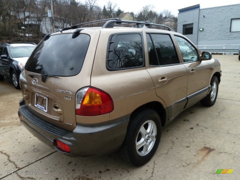 2004 Santa Fe GLS 4WD - Sandstone / Beige photo #3