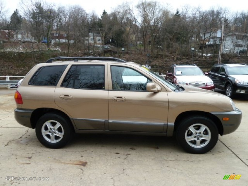 Sandstone 2004 Hyundai Santa Fe GLS 4WD Exterior Photo #61223119