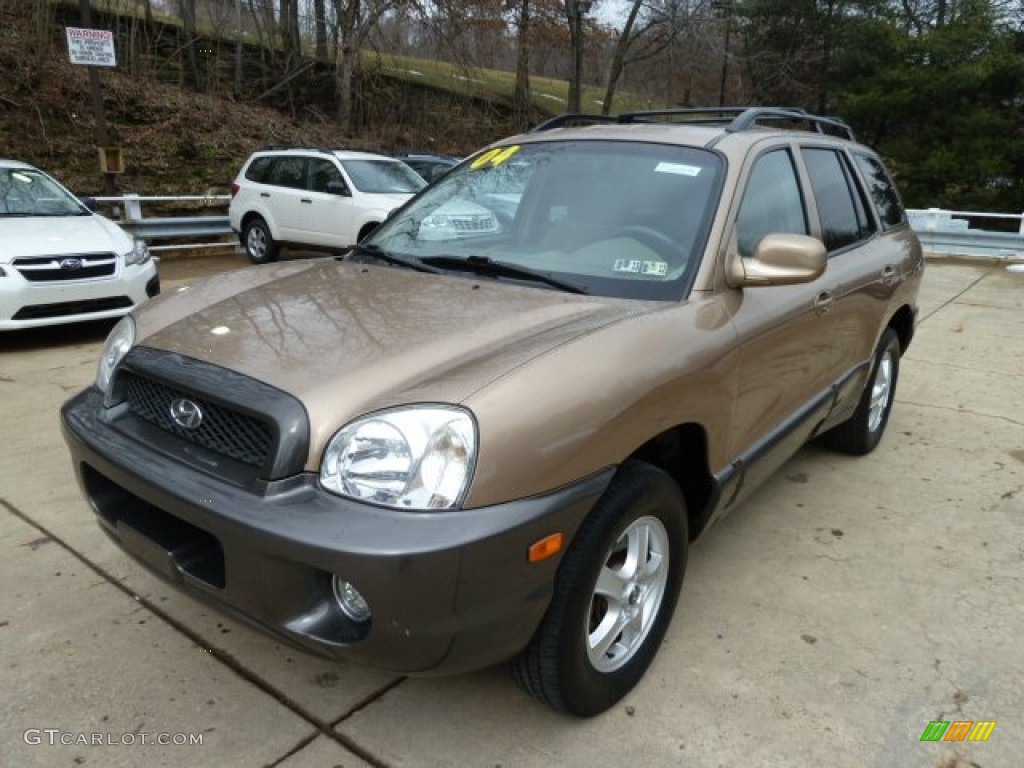 Sandstone 2004 Hyundai Santa Fe GLS 4WD Exterior Photo #61223134