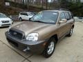 Sandstone 2004 Hyundai Santa Fe GLS 4WD Exterior