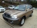 2004 Sandstone Hyundai Santa Fe GLS 4WD  photo #6