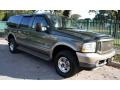 2004 Estate Green Metallic Ford Excursion Eddie Bauer 4x4  photo #18