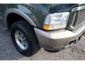 2004 Estate Green Metallic Ford Excursion Eddie Bauer 4x4  photo #23