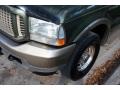 2004 Estate Green Metallic Ford Excursion Eddie Bauer 4x4  photo #24