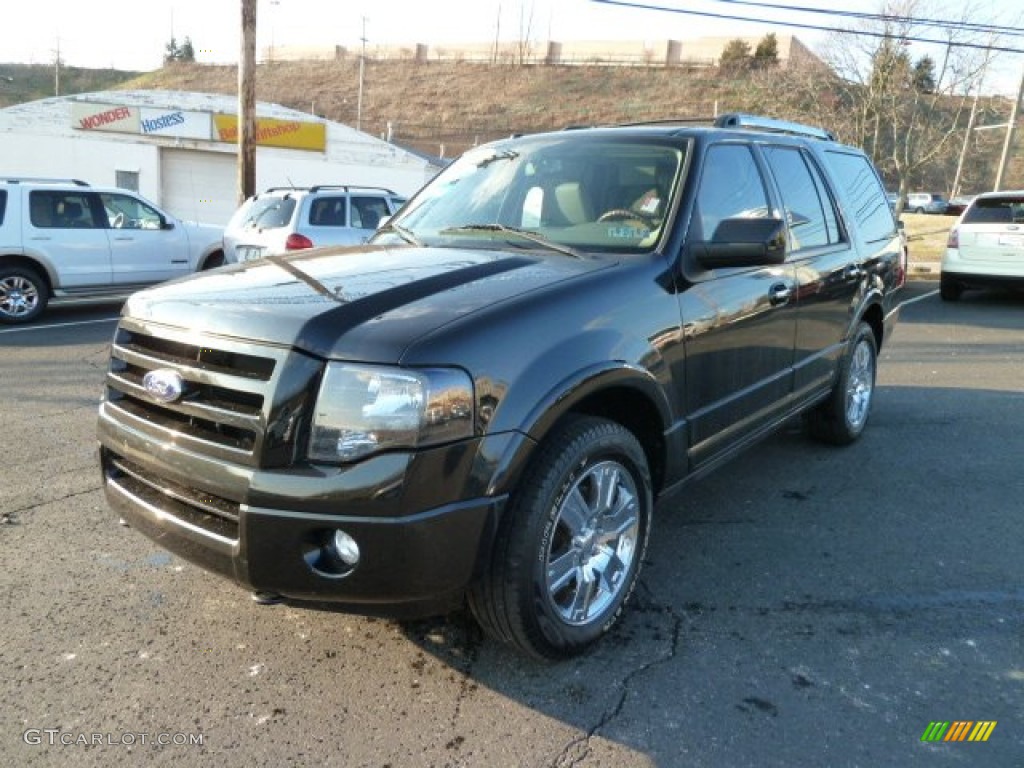 2010 Expedition Limited 4x4 - Tuxedo Black / Stone photo #5