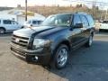 2010 Tuxedo Black Ford Expedition Limited 4x4  photo #5