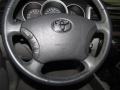 Titanium Metallic - 4Runner SR5 Photo No. 15