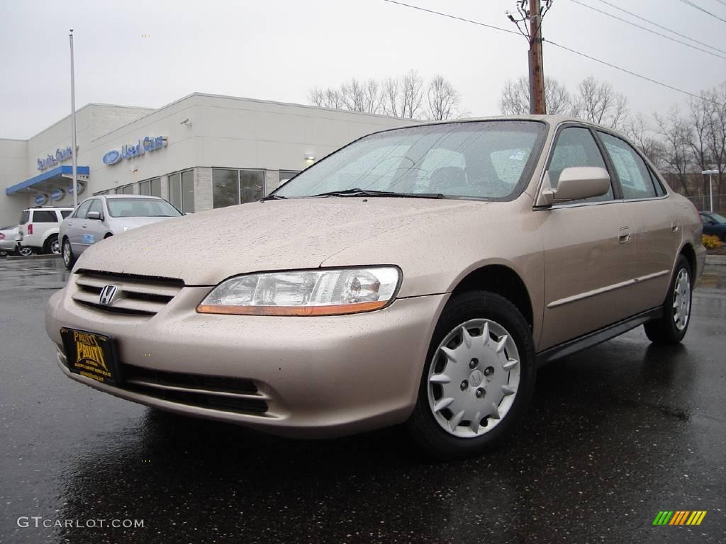 2002 Accord LX Sedan - Naples Gold Metallic / Ivory photo #1