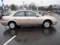 Naples Gold Metallic - Accord LX Sedan Photo No. 6