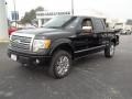 2009 Black Ford F150 Platinum SuperCrew 4x4  photo #17